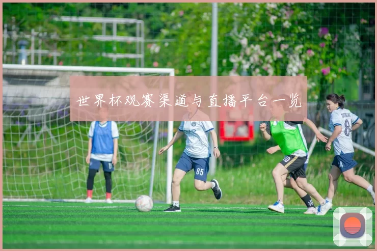 世界杯观赛渠道与直播平台一览