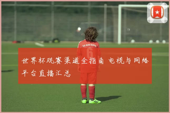 世界杯观赛渠道全指南 电视与网络平台直播汇总