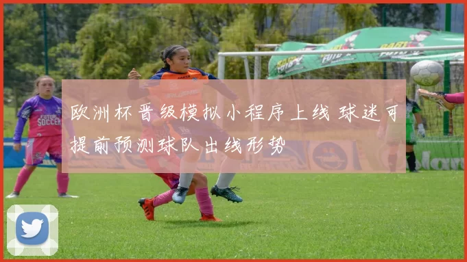 欧洲杯晋级模拟小程序上线 球迷可提前预测球队出线形势