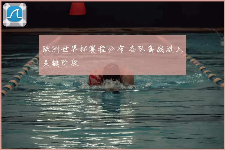 欧洲世界杯赛程公布 各队备战进入关键阶段