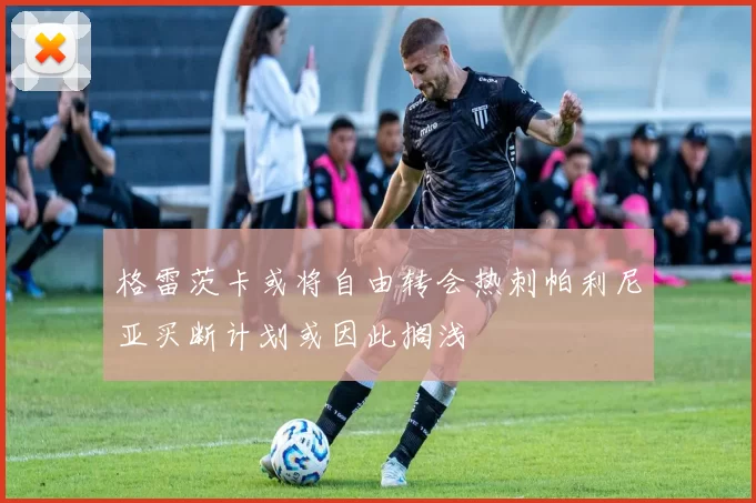 格雷茨卡或将自由转会热刺帕利尼亚买断计划或因此搁浅