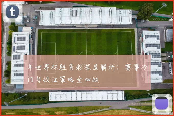 年世界杯胜负彩深度解析：赛事冷门与投注策略全回顾