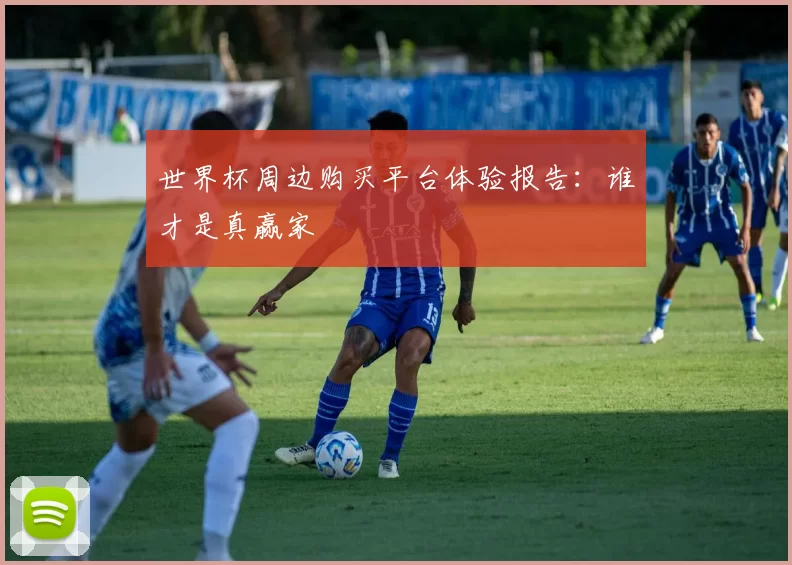 世界杯周边购买平台体验报告:谁才是真赢家