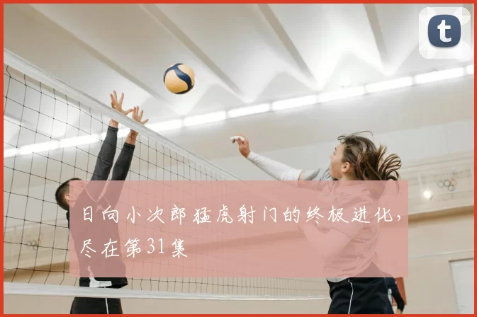日向小次郎猛虎射门的终极进化，尽在第31集