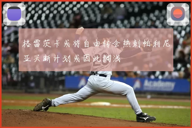格雷茨卡或将自由转会热刺帕利尼亚买断计划或因此搁浅
